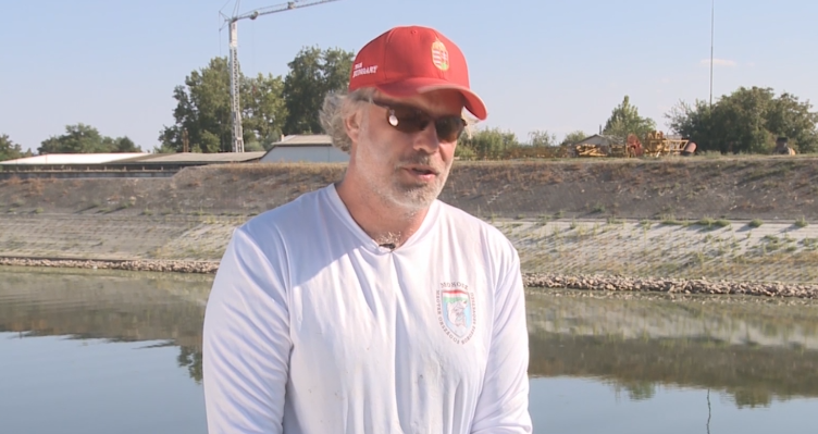 Walter Tamas